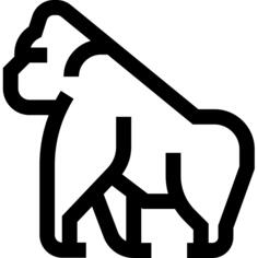 大猩猩