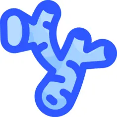 生姜