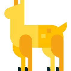 Llama