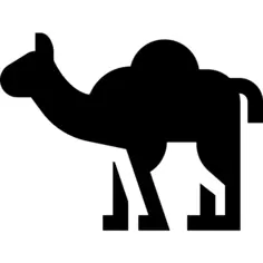 Camel