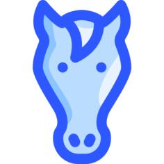 Equine