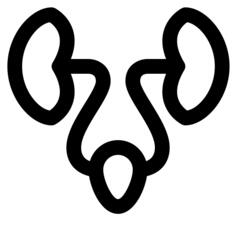 Urology
