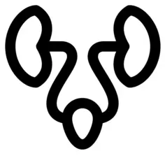泌尿科