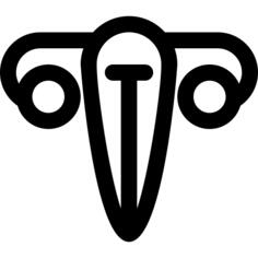 Vagina