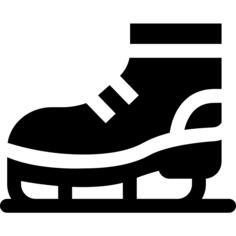 Ice skate