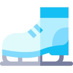 Ice skate
