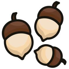 Acorn