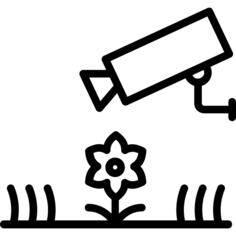 Cctv