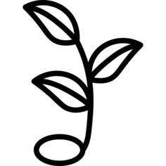 Sprout