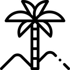 Oasis