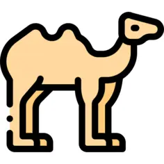 Camel