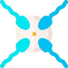 Conception