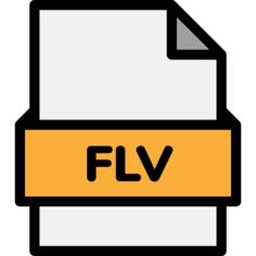 FLV文件