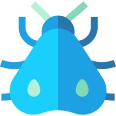 Moth