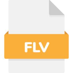 FLV文件