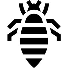 Louse