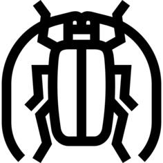 甲虫