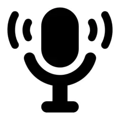 Voice microphone