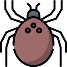 Mite