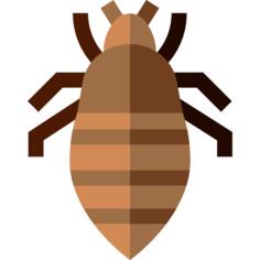 Louse