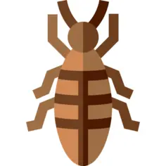 Termite