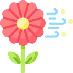 花粉
