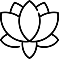 莲花