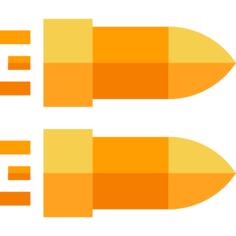 Bullet