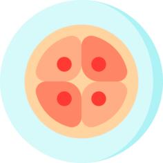 Embryogenesis