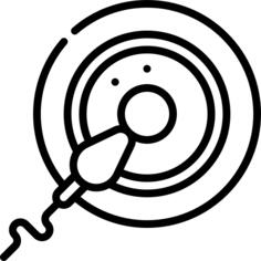 Fertilization