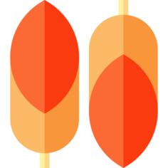 Feathers