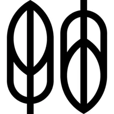 羽毛
