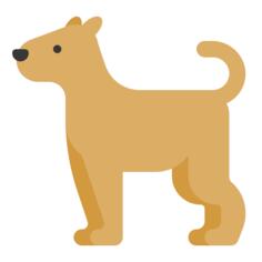 狗