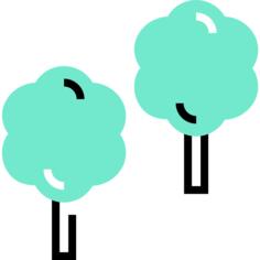 Cotton candy