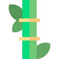 Bamboo