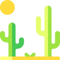 Desert