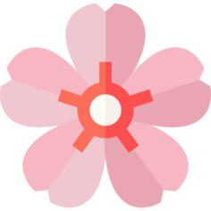 樱花盛开