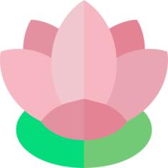 Water lily