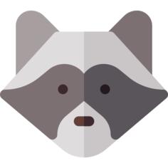 浣熊