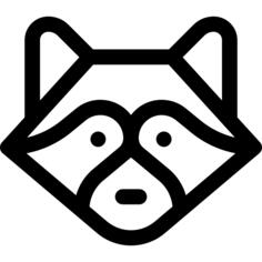 浣熊