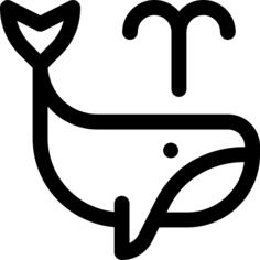 鲸