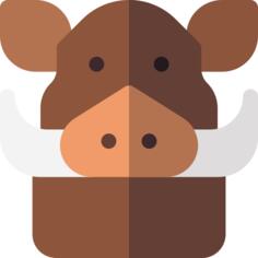 公猪