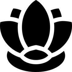 Water lily