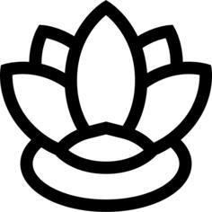 Water lily
