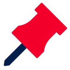 Pin