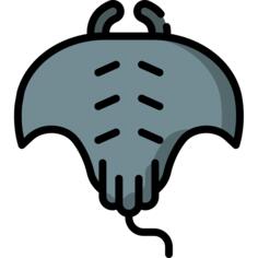 Manta ray