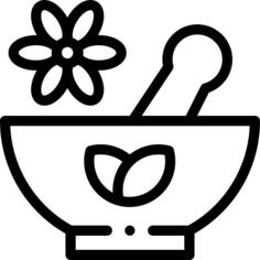 草本植物