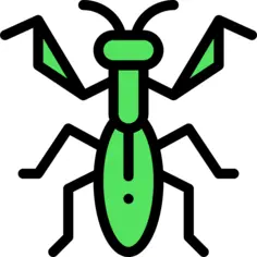 Mantis