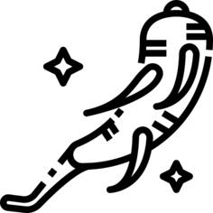 参