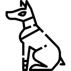 狗